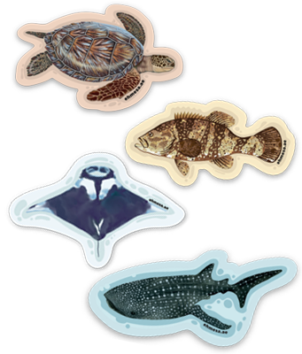 Ocean Animal 4-Pack