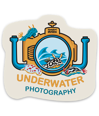 Underwater photography