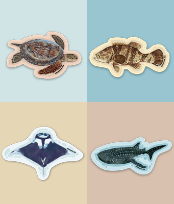 Ocean Animal 4-Pack